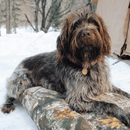 Dog Bed by White Duck Outdoors