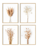 Brown plants