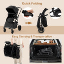 2-in-1 Baby Stroller with Bassinet Mode and Reversible Seat by LJGDeals