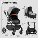 2-in-1 Convertible Baby Stroller with Car Seat Adapters