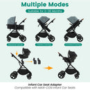 2-in-1 Convertible Baby Stroller with Car Seat Adapters