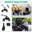 2-in-1 Convertible Baby Stroller with Car Seat Adapters