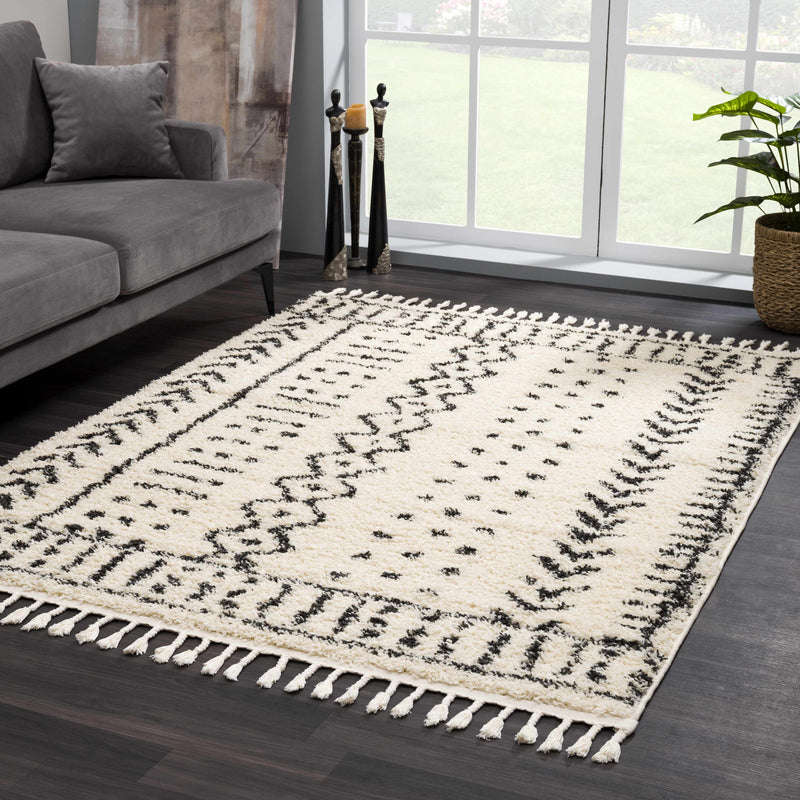 Hauppauge Berber Shag Carpet