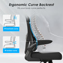 Ergonomic Mesh Office Chair with Lumbar Support