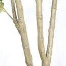 6' Artificial Olive Tree in Plastic