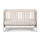 Pixie Finn - 3-in-1 Crib