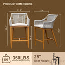 Outdoor Bar Stools Set of 2 with Arm and Backrest