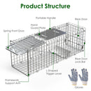 2PCS Folding Humane Animal Trap Cages for Cats, Rabbits & Squirrels
