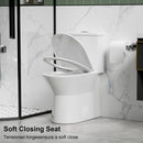 1 Piece Toilet With Dual Flush & Rimless Bowl - Glossy White by HouseOfZazla