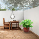3 Pieces Ceramic Flowerpot Planter for Patio, Garden or Windowsills