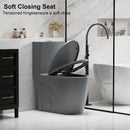 1 Piece Toilet With Tornado Flush, Dual Flush, And ADA Height Comfort Chair by HouseOfZazla