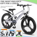 20 Inch Kids Mountain Bike