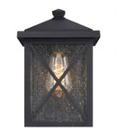 Leonis 10"High 1-Light Black Finish with Seeded Glass Shade Outdoor Wall Lantern