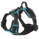 GBruno Light Up Dog Harness by GBruno Store