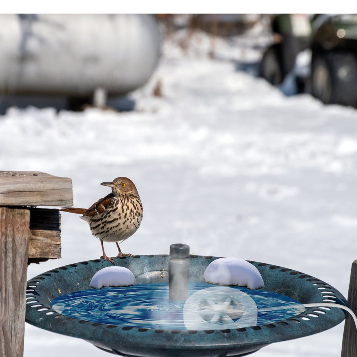 70W Outdoor Bird Bath Heater Winter Deicer with Thermostat, Auto Shutoff & Waterproof Design, photo 16 of 16