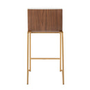 Mason Mara - Contemporary Design Fixed Height Counter Stool (Set of 2)