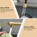 Stainless Steel Kitchen Faucet with Pull Down Sprayer