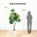 6FT Artificial Fiddle Leaf Fig Tree with White Pot