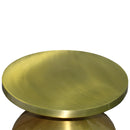 24 Inch Metal Frame End Table with Round Top and Bottle Shape Base, Gold