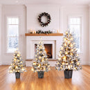 3-Piece Flocked Pre-Lit Christmas Tree Set