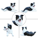 Outdoor Garden Border Collie Dog Statue Greeter by HouseOfZazla