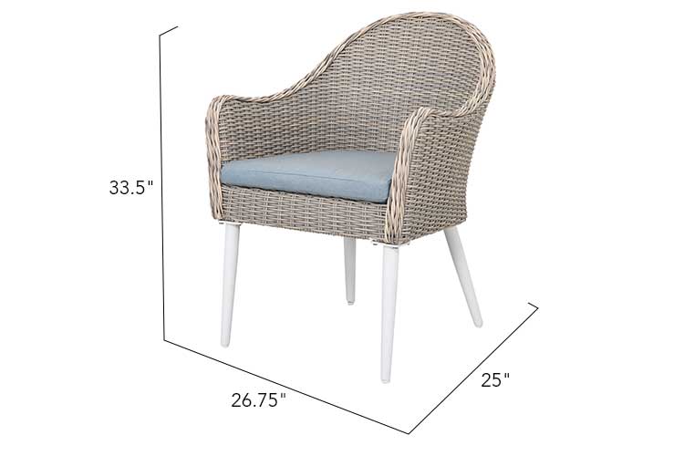 2 Allux Wicker Dining Chair, photo 2 of 6