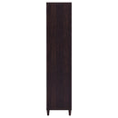 Nestor - 2 Drawer Tall Accent Cabinet With 2 Doors - Rustic