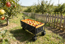 Big Large Capacity Folding Wagon Cart with Extender (Black + Orange)