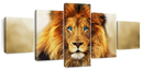 Blue Eyed Lion Wall Art