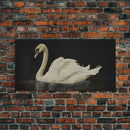 The Black Swan, Vintage Framed Canvas Art, Framed Vintage Print, Vintage Painting, Black Swan Art, Girls Room or Nursery print
