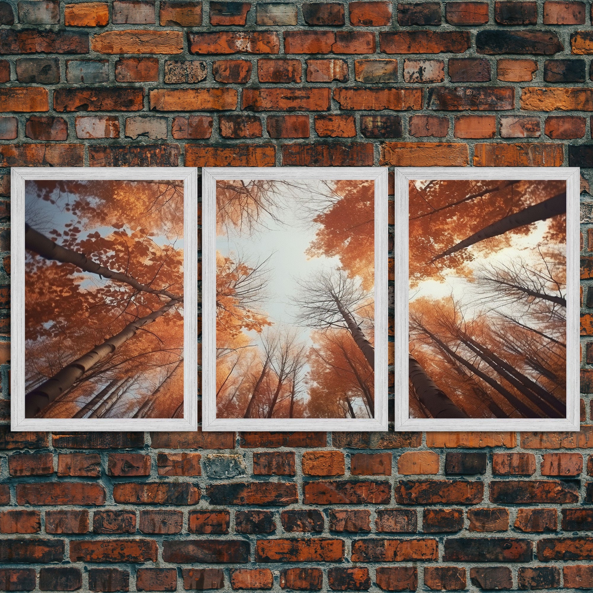Trees Wall Art Fall Art Print Nature Print Canvas Print Wall Art