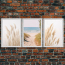 Set of 3 Pampas Grass, Beach Ocean Shore Photography Prints, Minimalist Modern Art Neutral Coastal Room Decor Framed Canvas Wall Art