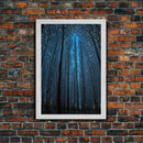 Birch Tree Forest At Night, Starry Night Sky, Framed Canvas Print, Boho Minimalist Farmhouse Decor, Primitive Art