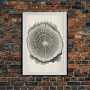 Framed Canvas Print Wall Art,  Grunge Forest Tree Rings, Abstract Illustrations, Modern Art, Nordic Decor for Bedroom, Tree Cross Section