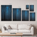 Birch Tree Forest At Night, Starry Night Sky, Framed Canvas Print, Boho Minimalist Farmhouse Decor, Primitive Art