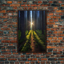 Sunset Wall Decor, Nature Print, Forest Path Wall Art, Trees Wall Art, Photography Print, Wall Decor, Canvas Print, Wall Art, Framed Canvas