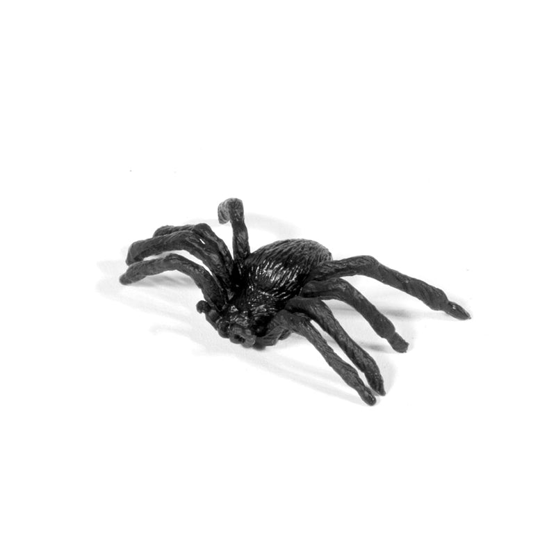 2x/4x Magnifier Habitat Jar Bug Catcher