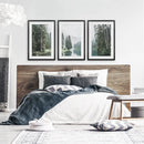 Green Forest River with Trees and Mountain. 3 Piece Wall Art by Wall Art Set