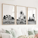 Rustic Black White Wall Art Set. Cows, Sunflowers, Old Barn by Wall Art Set