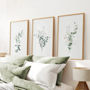 Gold & Green Eucalyptus Wall Art Set of 3 by Wall Art Set