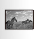 Fine Art Framed Canvas Print, Metal Art, Black & White Photo of Wild Mustangs, Horse Art, American Horses Landscape / Nature / Wildlife Art