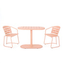 3 Piece Elegant Outdoor Bistro Set With 2 Chairs And Oval Table