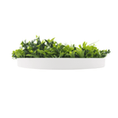 Artificial Green Wall Disc 30in – White Frame – UV Resistant – Commercial Grade