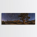 Time Lapse Photography Style Print, Panoramic Wall Art, Starry Night Sky Photo Print, Joshua Tree