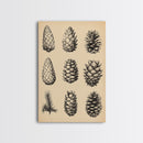 Vintage Pinecones Canvas Print - Framed Canvas - Minimalist Christmas Art - Boho Christmas Art - Rustic Christmas Art