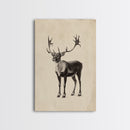 Reindeer Canvas Print - Framed Canvas - Minimalist Christmas Art - Boho Christmas Art - Rustic Christmas Art