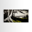 Forest Tree, Ocean View, Coastal Landscape, Canvas Print, Nature Wall Art, Black and White Art, Cabin Wall Decor, Rustic Wall Art