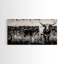 Texas Longhorn, Rustic Farmhouse, Black and White Western Art, Framed Canvas Print, Country Home Decor, Rustic Living Room Wall Art