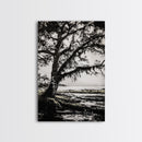 Tree Silhouette, Black White Art, Canvas Print, Dramatic Landscape, Coastal Wall Art, Nature Scene, Monochrome Decor, Minimalist Art