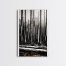 Forest Landscape, Black and White Tree Art, Moody Woodland Scene, Rustic Nature Wall Decor, Cabin Home Artwork, Framed Canvas Print